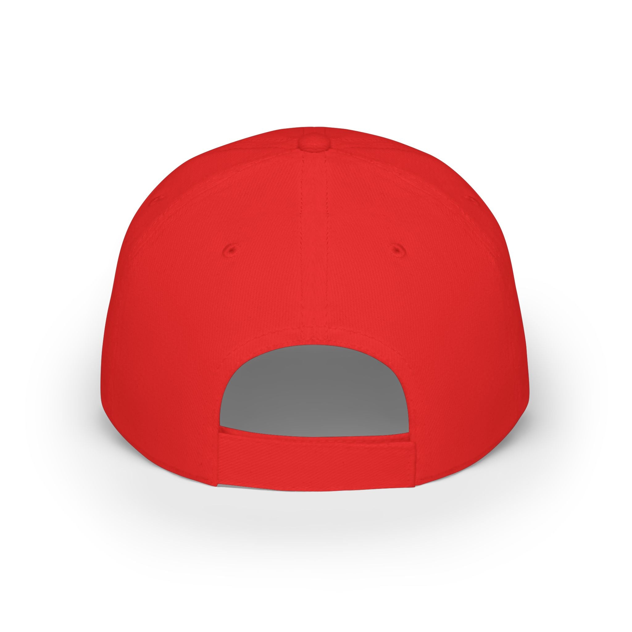 10 N 2 Low Profile Baseball Cap