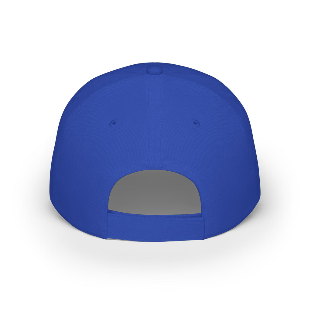 10 N 2 Low Profile Baseball Cap