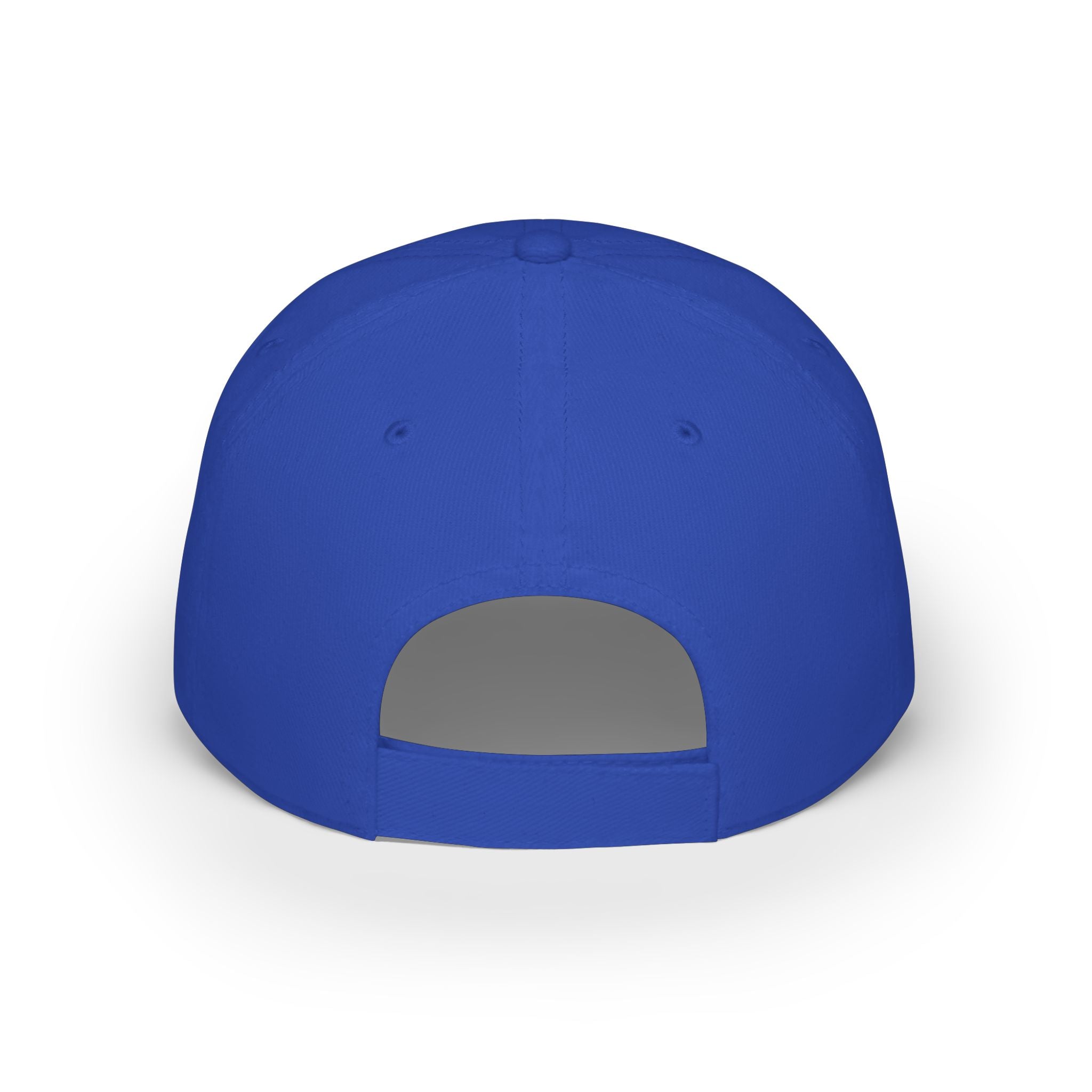 10 N 2 Low Profile Baseball Cap