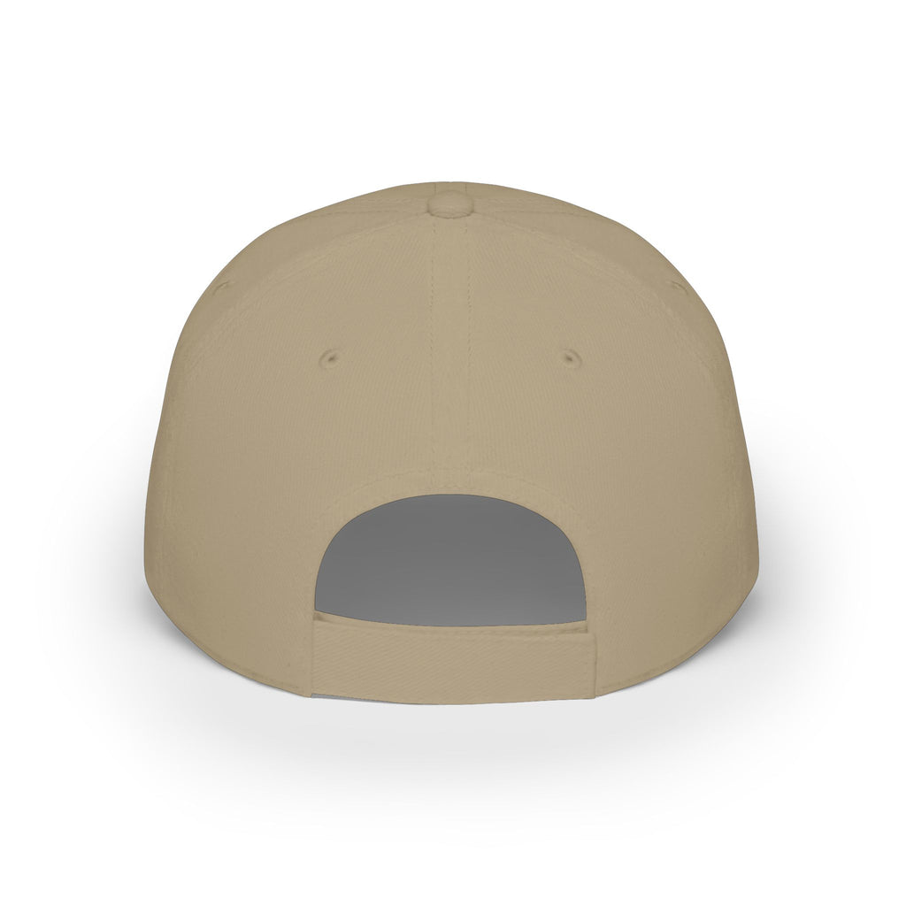 10 N 2 Low Profile Baseball Cap