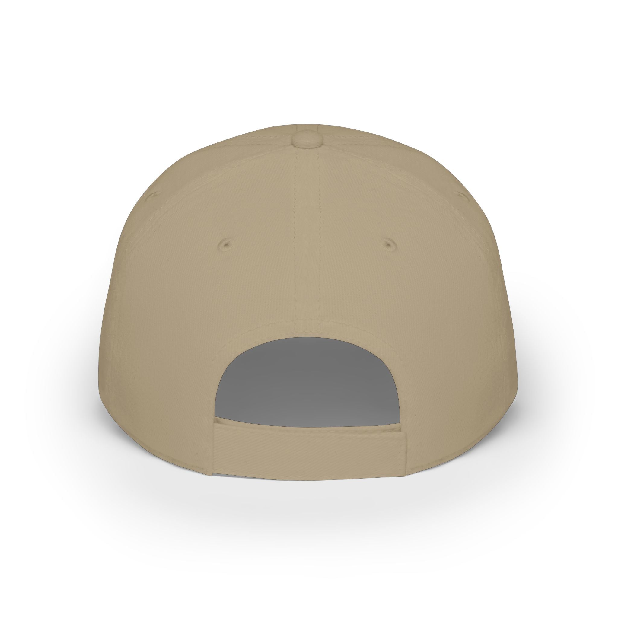 10 N 2 Low Profile Baseball Cap