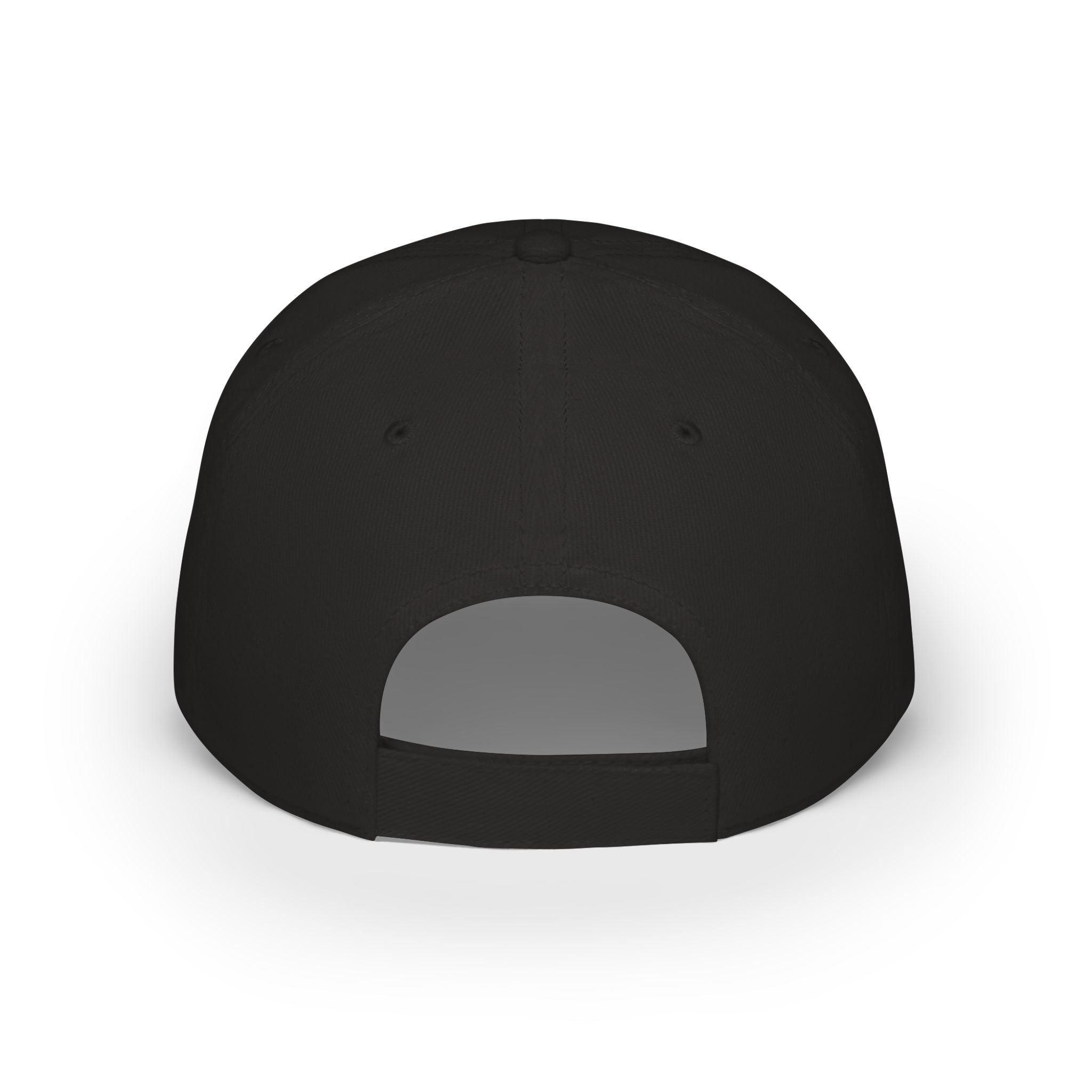 10 N 2 Low Profile Baseball Cap